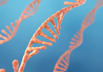 Illustration of pink strands of RNA on a blue background
